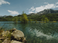 «Живая вода» - ПОКУПАЙ ВОДУ, а не БУТЫЛКИ!