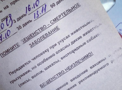 В Волгоградской области от бешенства умерла школьница: врачи смогли лишь облегчить ее последние дни