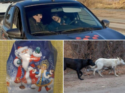 «Нищенские» подарки, нападение псов, похищение ребенка: главные новости недели в Волжском