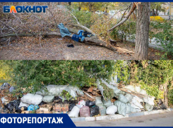 Сможет ли месячник благоустройства преобразить кошмарные дворы, запечатленные «Блокнот Волжский»?