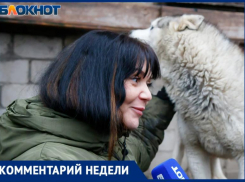 Категорически против предложения эвтаназии для бездомных собак выступила хозяйка волжского приюта