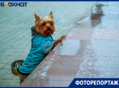 Волжский припорошило снегом