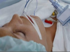 После укуса каракурта 10-летний житель Волгограда впал в кому