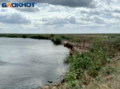 Большинство волжан отдыхали на Лимане