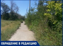 «Не удивлюсь, если в зарослях  крокодилы заведутся»,-волжанка