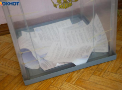 В Волжском будут судить залившую зеленкой урну на выборах президента