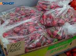Волжане могут пожаловаться на качество продуктов по горячей линии