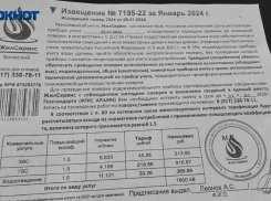 «Это маркетинговый ход»: откуда авторы фейковых квитанций на счетчики знают информацию о квартирах волжан