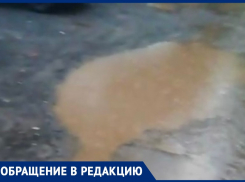 Огромные лужи, разбитая дорогая и сухие деревья: волжанка о забытом микрорайоне