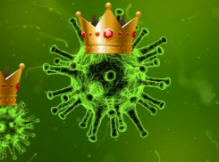 В Волжском запустили флешмоб «Сними корону! Останься дома»