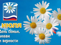 В Волжском впервые пройдет семейный фестиваль «Ромашковое счастье»