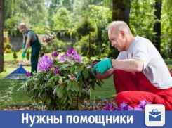 Семейную пару из Волжского приглашают на работу