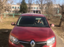 Дед-автохам грубит школьникам в Волжском