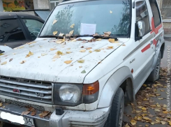 Куда исчезают бесхозные авто Волжского?