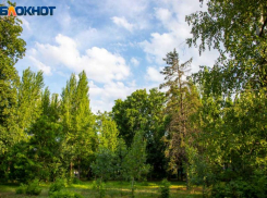 Серое небо обещают синоптики в среду волжанам: прогноз погоды