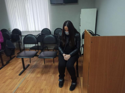 Суд отказал Анне Мелконян в отмене меры пресечения 