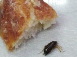 Студентка оценила пирожок с тараканом в столовой колледжа