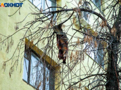 11-летняя девочка выпала из окна в Волгограде: организована проверка