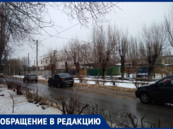 «На меня с ребенком напала собака», - волжанка жалуется на диких животных возле детского сада
