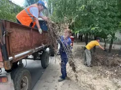 В Волжском ко Дню города устроили «генеральную» уборку