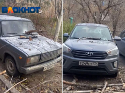 Ветки упавшего дерева разбили машины во дворе в Волжском: видео