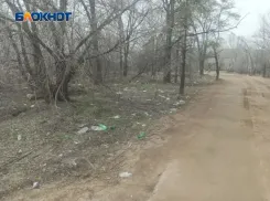 «Экологическая катастрофа»: вместо подснежников Волжский заполнил мусор