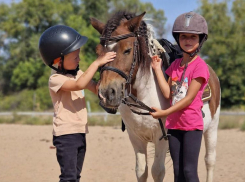 Осень в гармонии с природой в Конно-спортивном клубе «GREEN HORSE»