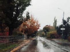 Понедельник будет мрачным и дождливым