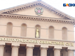 В Волгограде 14-летнего подростка заключили под стражу: обвиняют в попытке взрыва школы