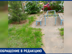 «Сами убираем и платим за это»: волжане возмущены заброшенным двором на Карбышева