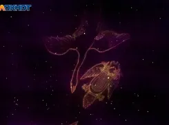 Вероятность стать объектом неумного розыгрыша: астрологический прогноз для волжан