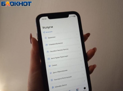 С 1 июня волжане смогут подать заявление на загранпаспорт со сроком на 10 лет