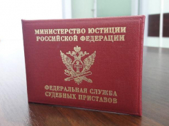 В Волгоградской области более двух тысяч должников по алиментам попадут в публичный реестр: новые меры давления