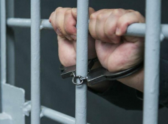 Двадцати двух летнего убийцу многодетной матери осудили на семнадцать лет