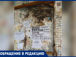 Мусор, трава, подвальная вонь и мыши: волжане устали от бездействия УК