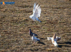Солнечный день и теплый ветер ждут волжан в воскресенье: прогноз погоды