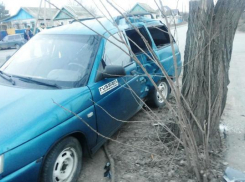 Под Волгоградом неопытный водитель протаранил дерево