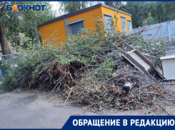 «Обложили трансформаторную будку сухостоем и ждут сожжения еретика?», — волжане негодуют. Видео