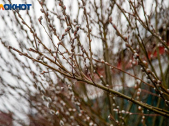 Синоптики обещают пасмурные выходные в Волжском