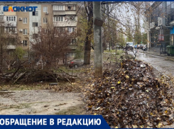 В волжском дворе детская площадка превратилась в свалку сухостоя: УК МПЖХ не убирает ветки и листву