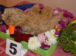 В Волжском на открытии Фестиваля цветов школьники показали утку и ежа