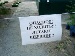 Волжан предупредили об опасных шершнях у кожно-венерологического диспансера