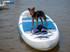 Волжанам пора учить правила нахождения на нудистском пляже: прогноз погоды в среду