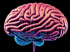 Как определить возраст мозга