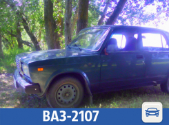 Восьмилетнюю семерку продает Светлана в Волжском