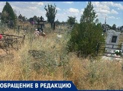 «Неужели память о наших близких никому не нужна?»: волжанка пожаловалась на состояние кладбища