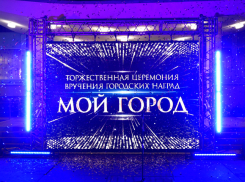Волжский готовится чествовать своих героев: кто получит городские награды в 2025 году