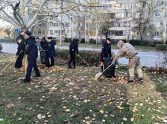 В Волжском продлили осенний месячник по благоустройству
