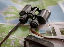 В Волгоградской области за сутки пропали трое детей