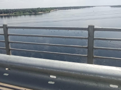 Полчища пауков захватили Волжскую ГЭС